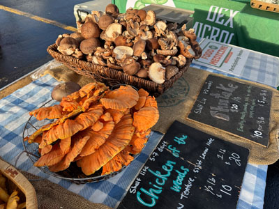 local mushrooms iron mountain mi farmers market